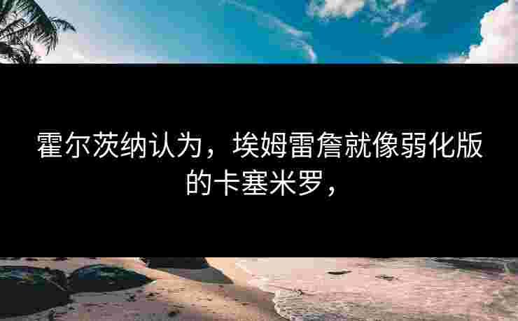 霍尔茨纳认为，埃姆雷詹就像弱化版的卡塞米罗，